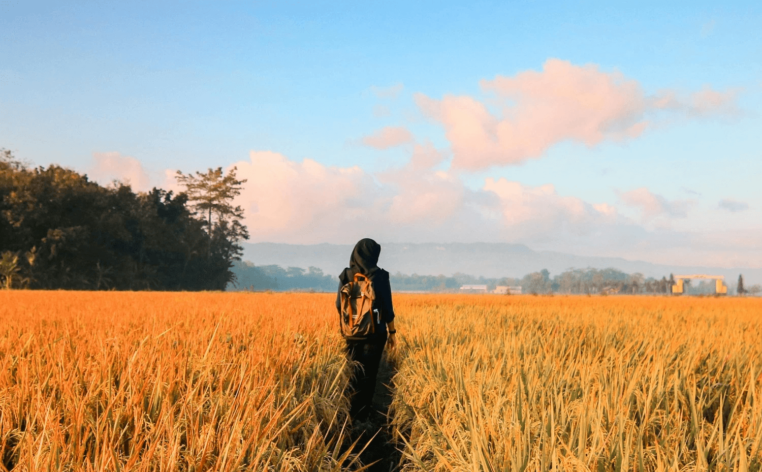 10 Healthy Ways to Cope With Grief and Loss